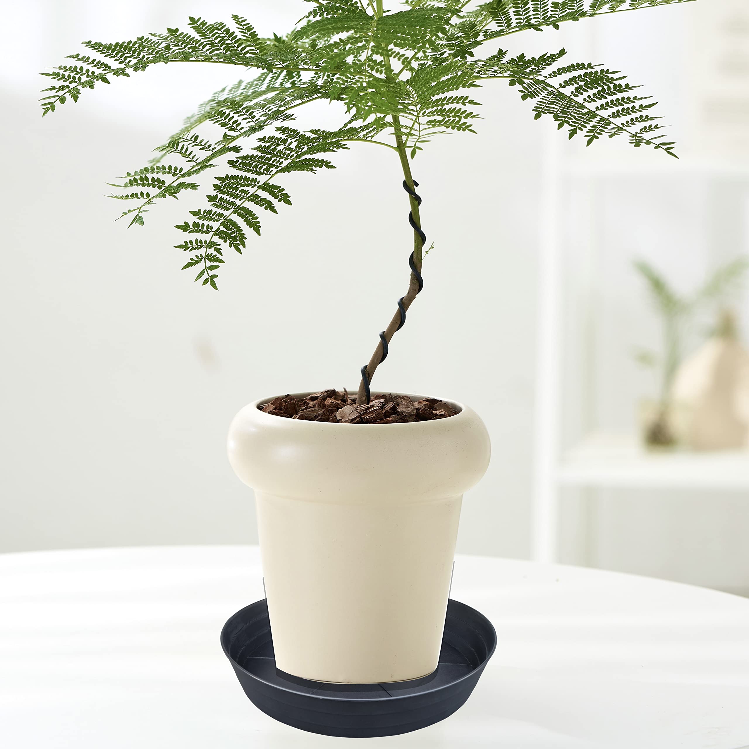 LWALRS Plant Saucer 16 Inch in use under a pot