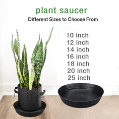 LWALRS plant saucer with a pot on a patio