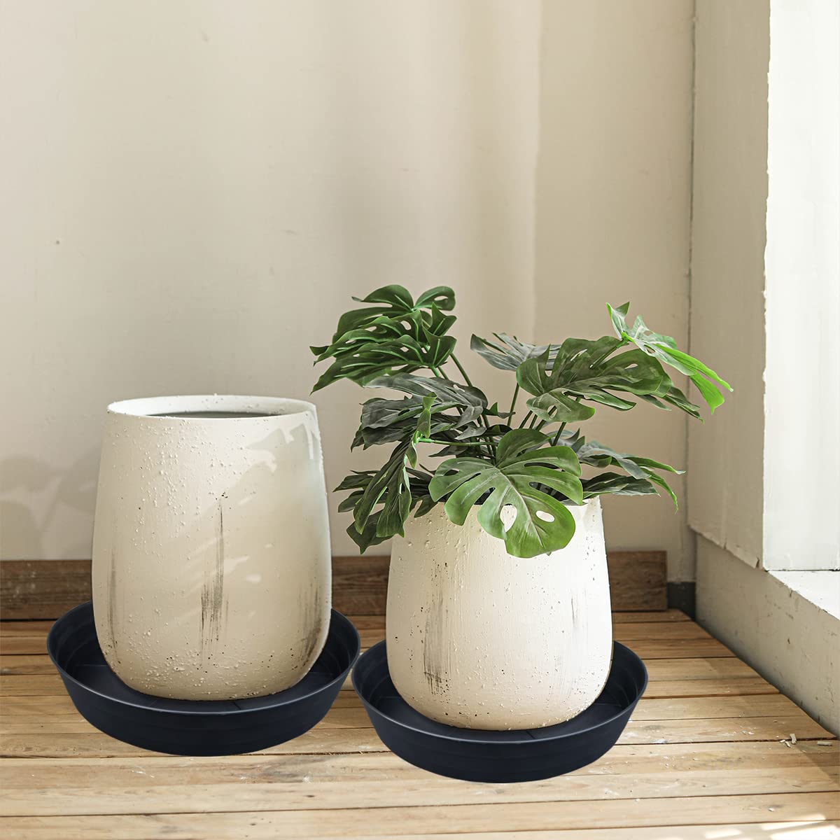 LWALRS Plant Saucer with potted plant on top