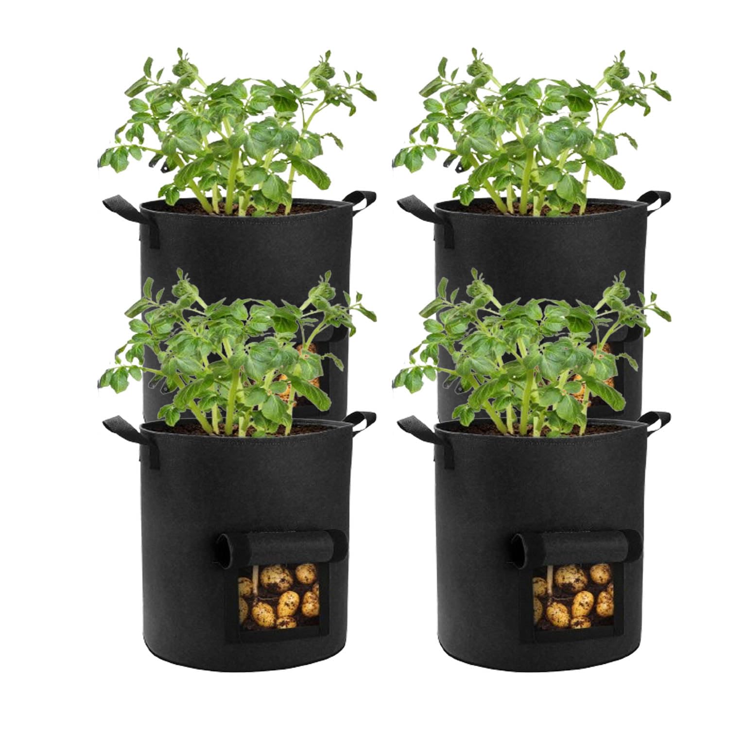 Lyincat 10 Gallon Potato Grow Bag front view with flap and handles