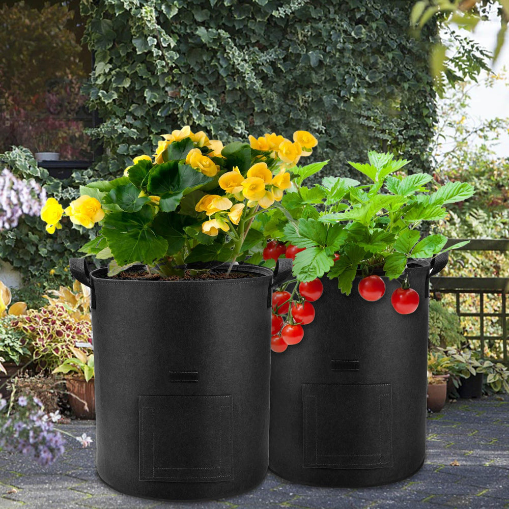 Lyincat Grow Bag with flap open revealing plant roots