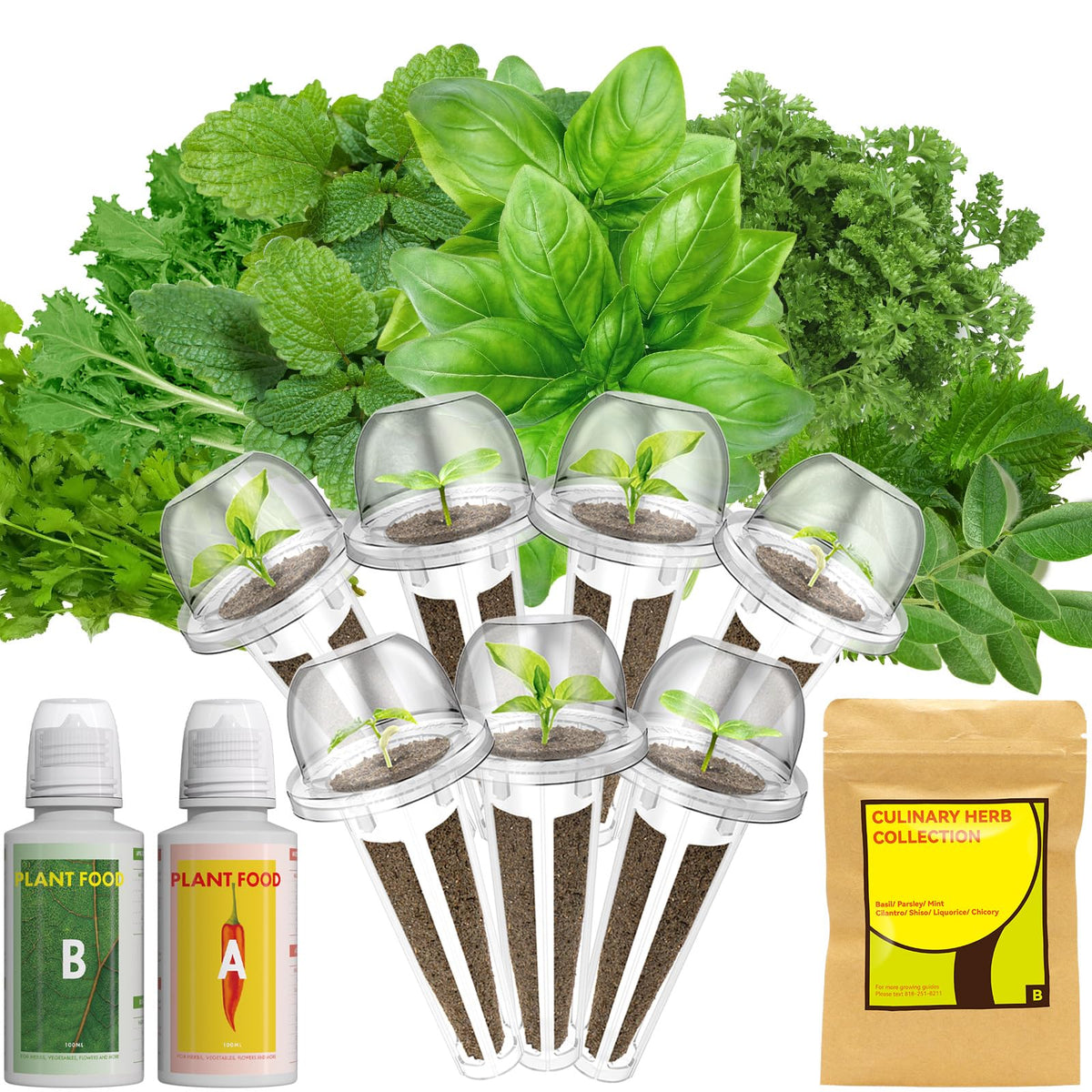 LYKOCLEAN Herb Seed Pod Kit packaging with seeds and accessories