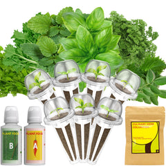 LYKOCLEAN Herb Seed Pod Kit packaging with seeds and accessories
