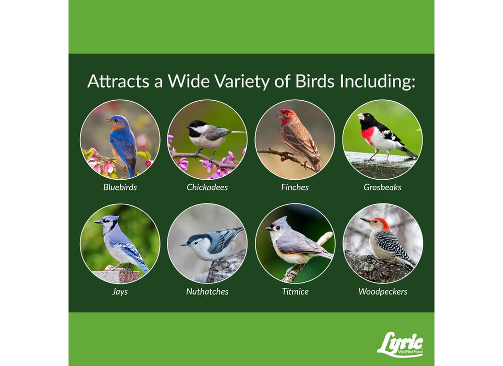 Lyric Fine Tunes Wild Bird Seed Mix packaging details