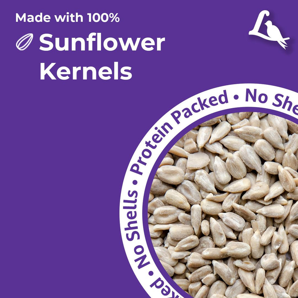 Lyric Sunflower Kernels bag with oxygen scavenger packet