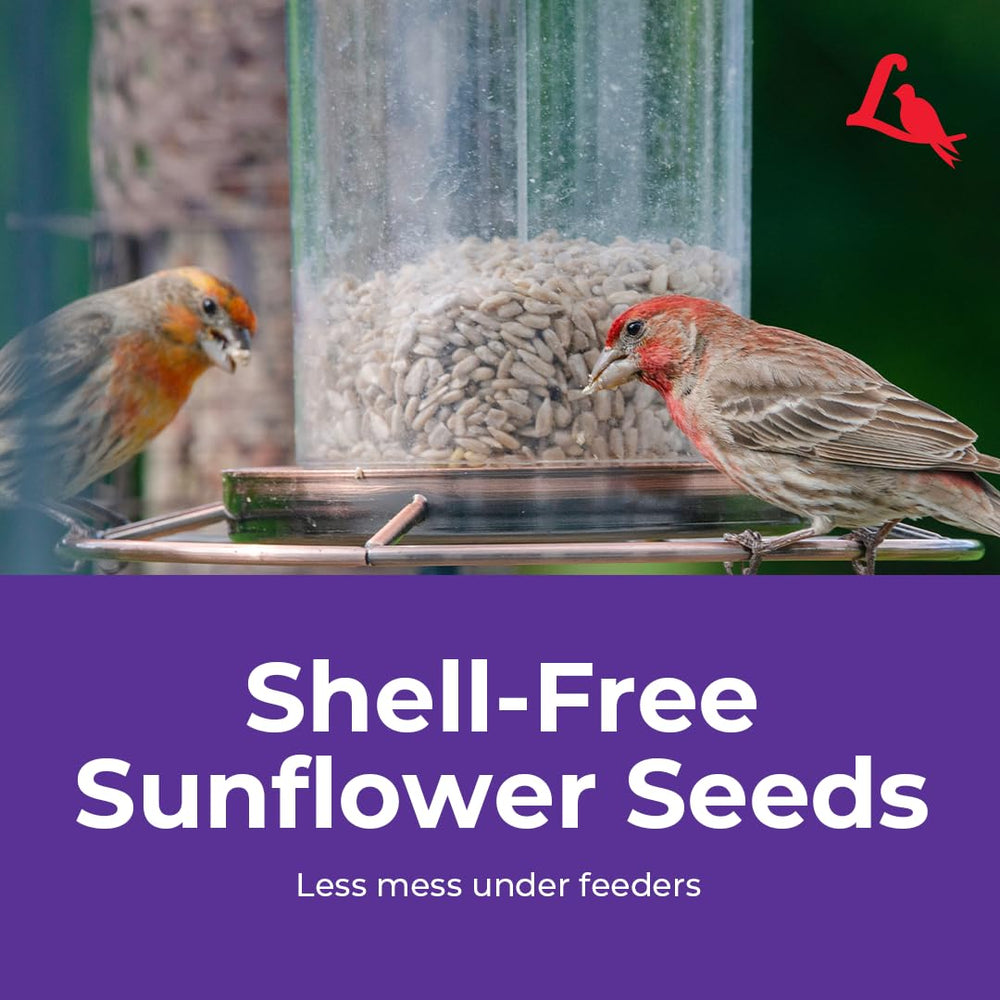 Lyric Sunflower Kernels packaging side view
