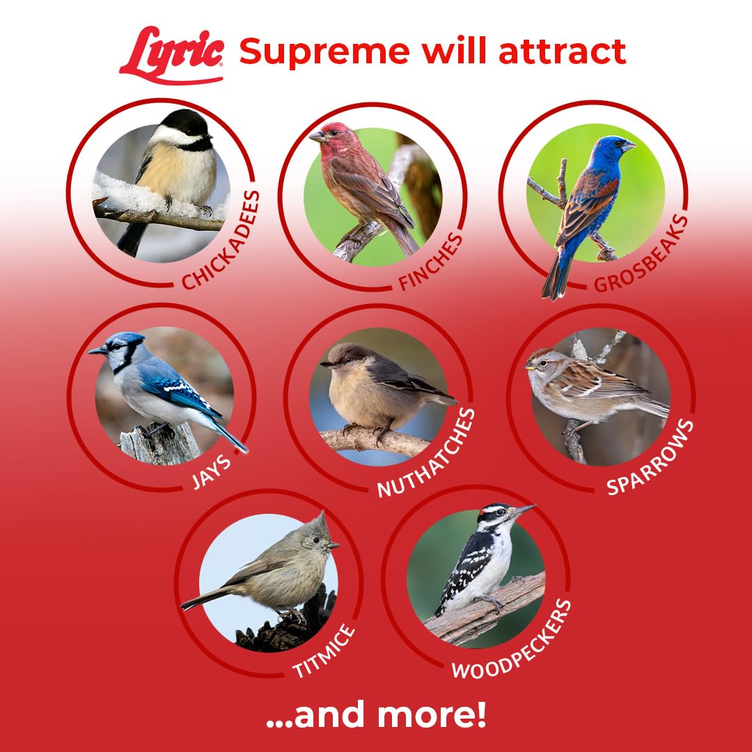 Lyric Wild Bird Seed packaging details