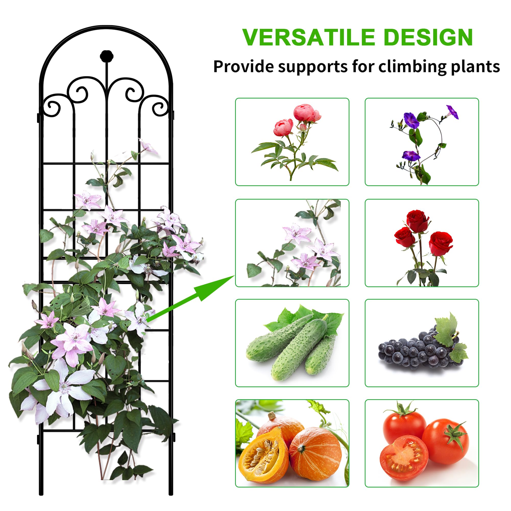 LZRS garden trellis in outdoor setting with vegetables