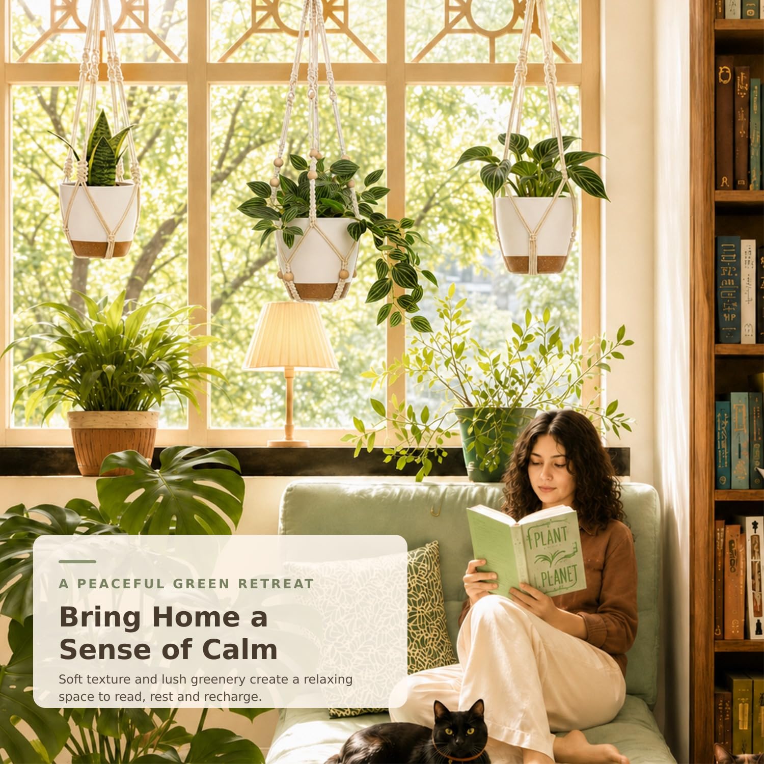 Macrame hanging plant set in a living room setting