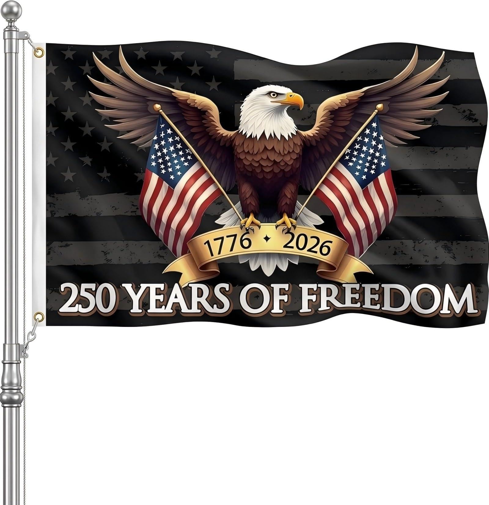 MAGJIUKE 250th Anniversary American Flag 3x5 Ft front view