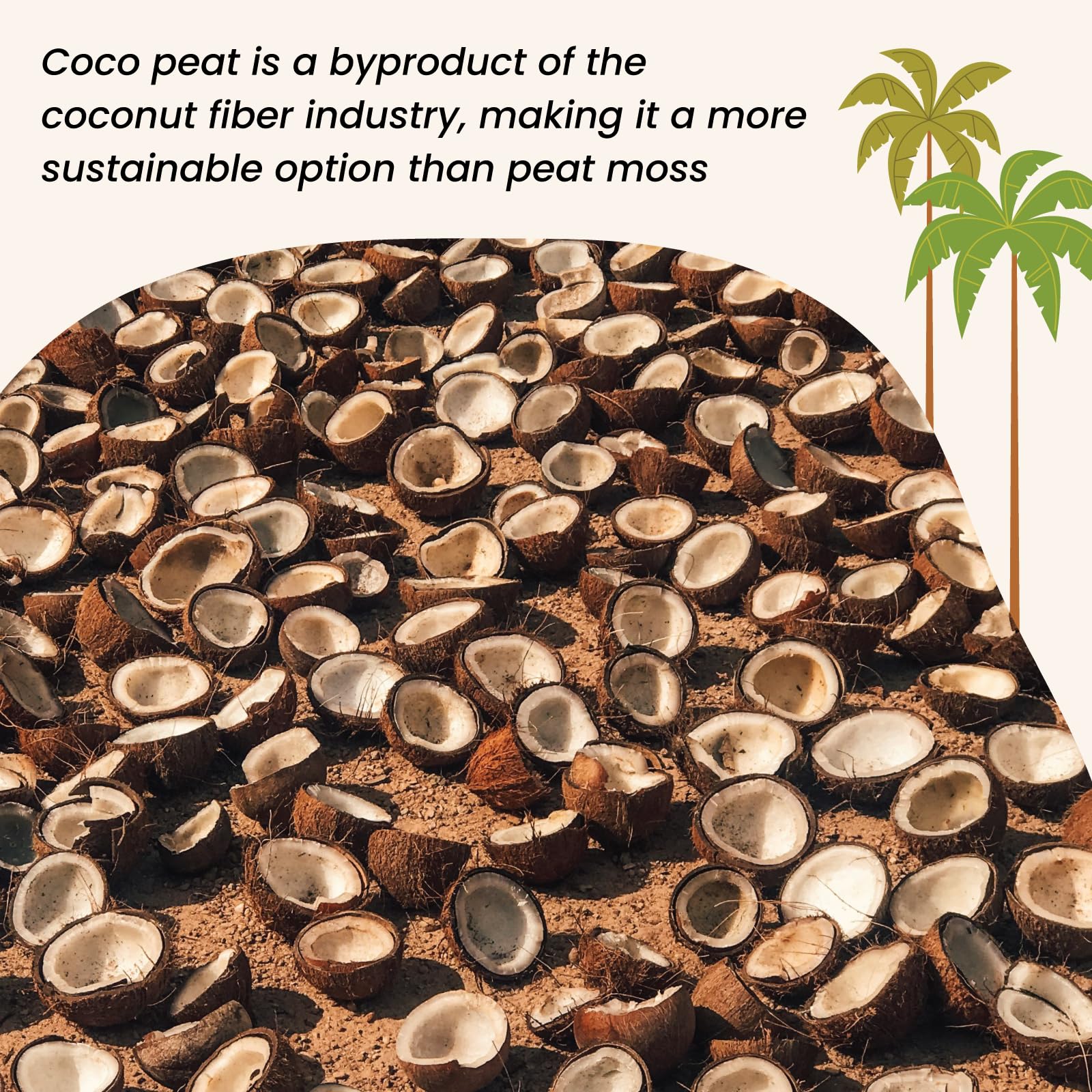MagJo Coco Coir block for organic gardening