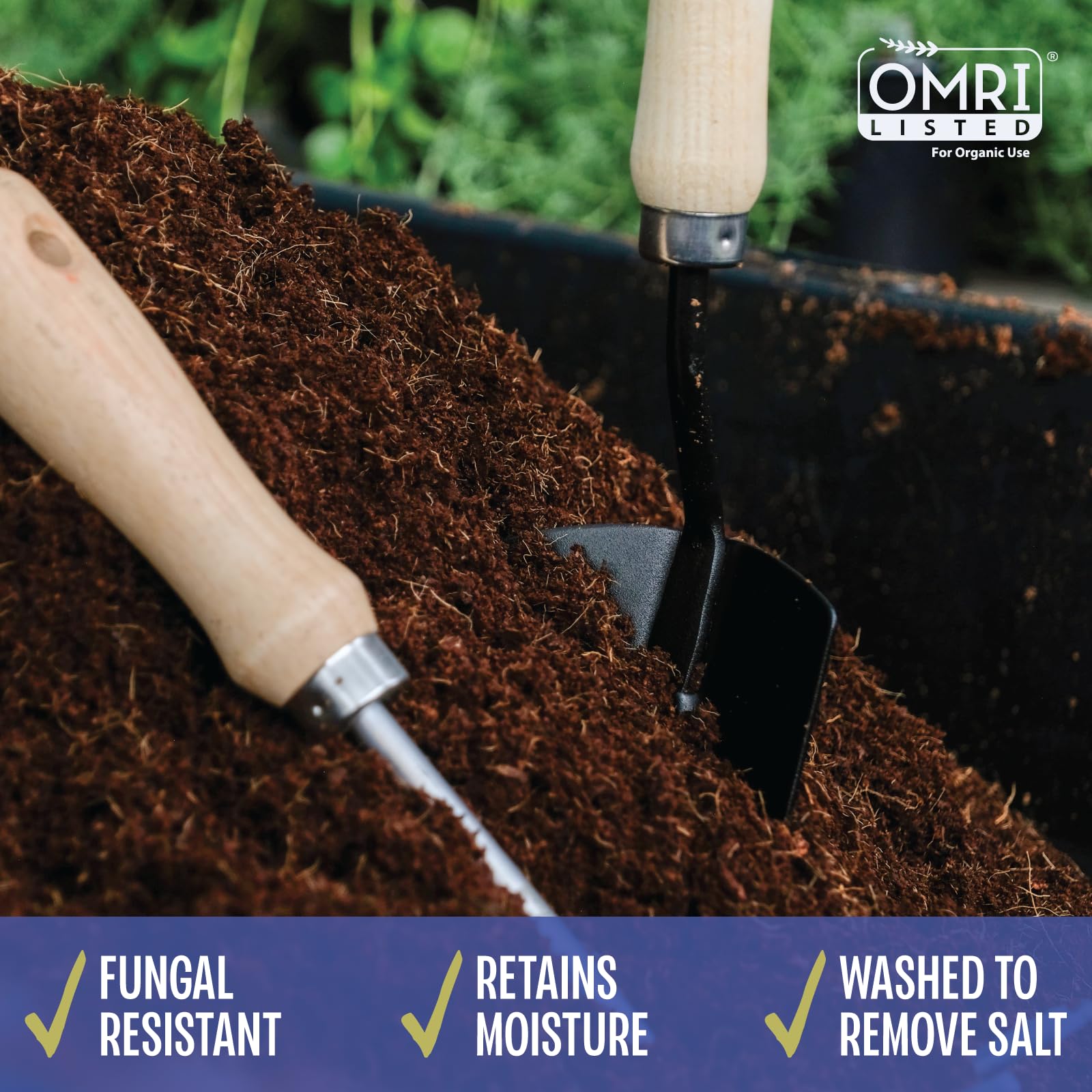 MagJo Coco Coir block in garden setting