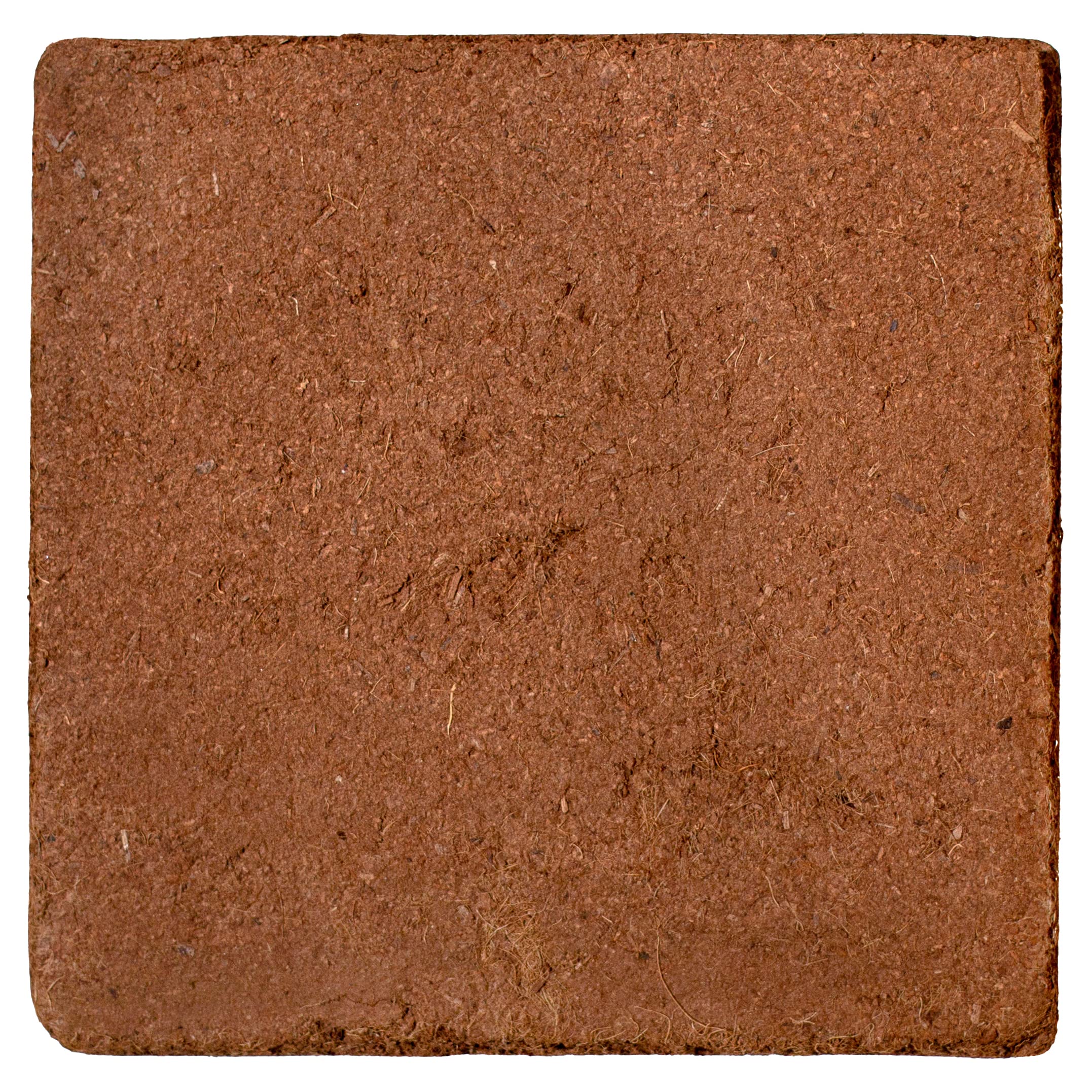 MagJo Coco Coir block with measuring tools