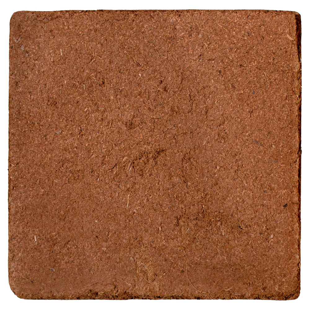 MagJo Coco Coir block with measuring tools