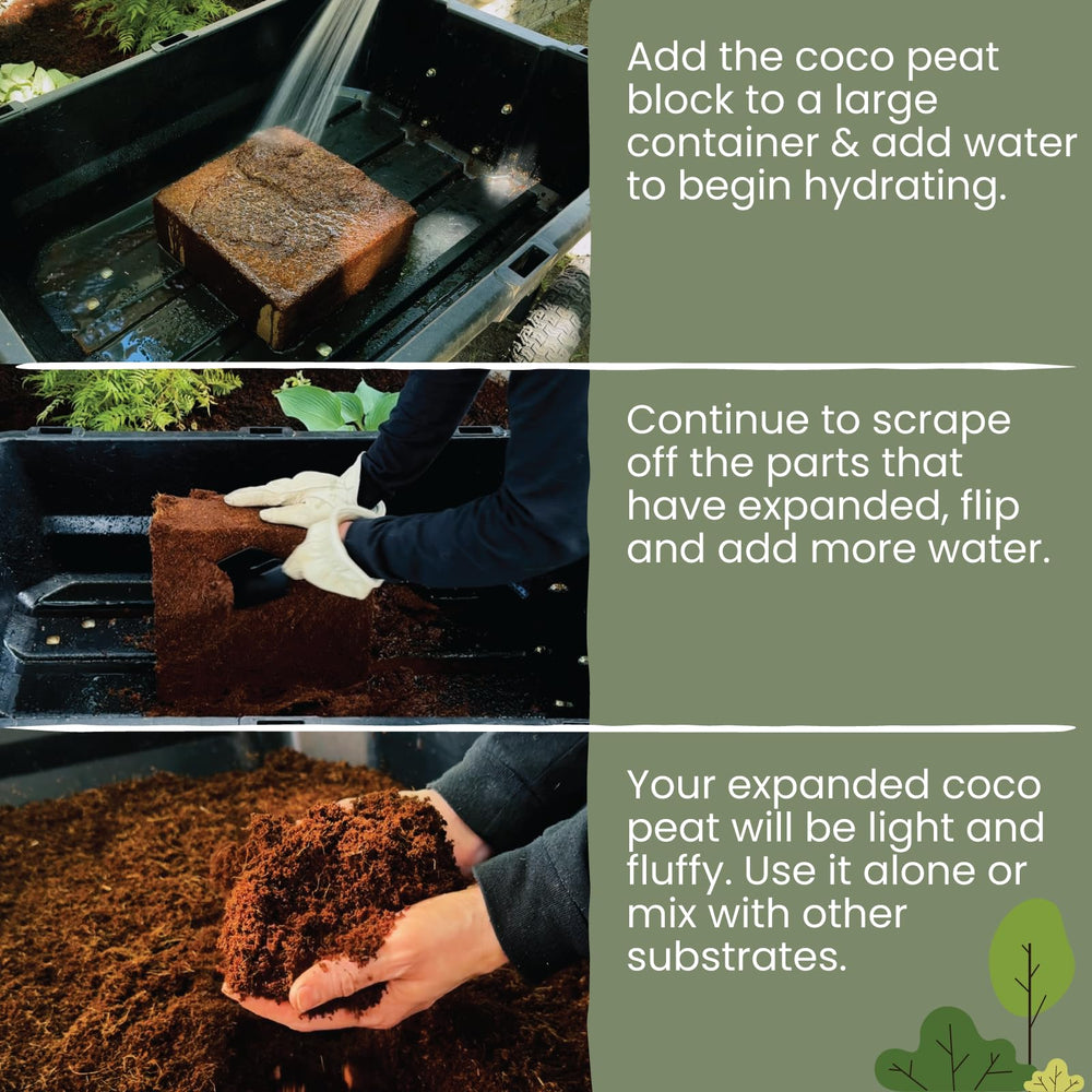 MagJo Coco Coir block with soil and plants