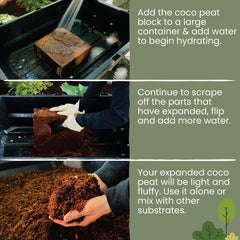 MagJo Coco Coir block with soil and plants