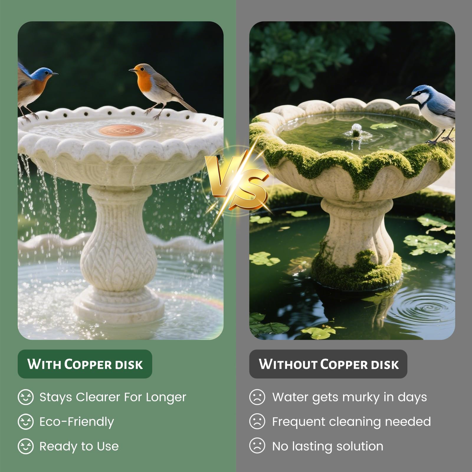 maiwoSte Copper Disk installed in birdbath