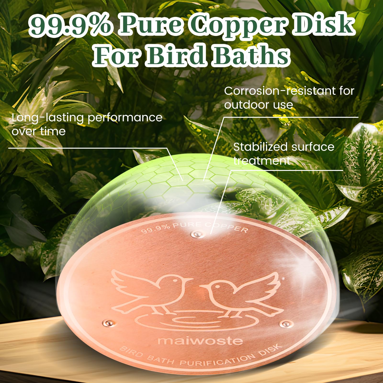 maiwoSte Copper Disk with birds drinking water