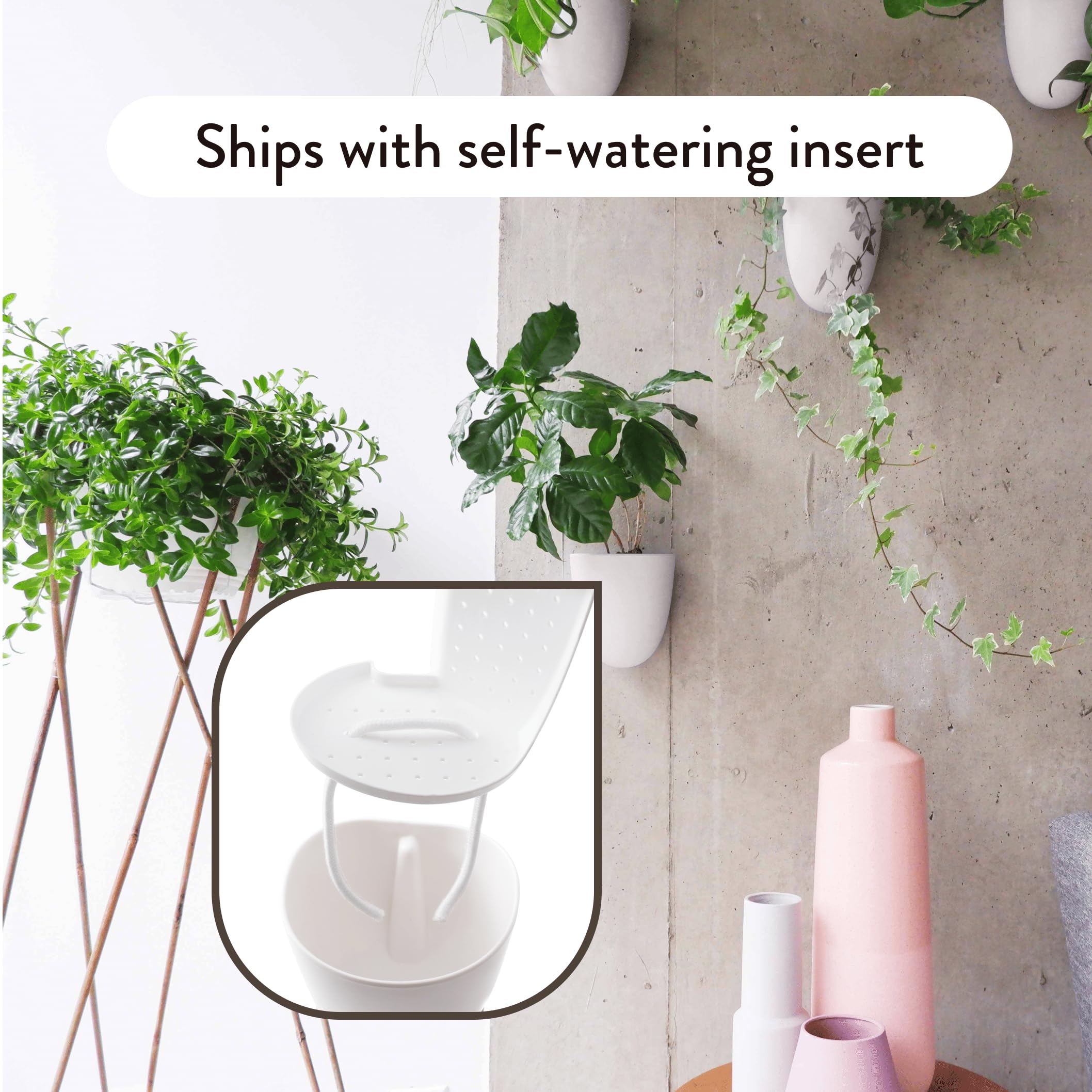 Make Good wall planters displaying small indoor plants