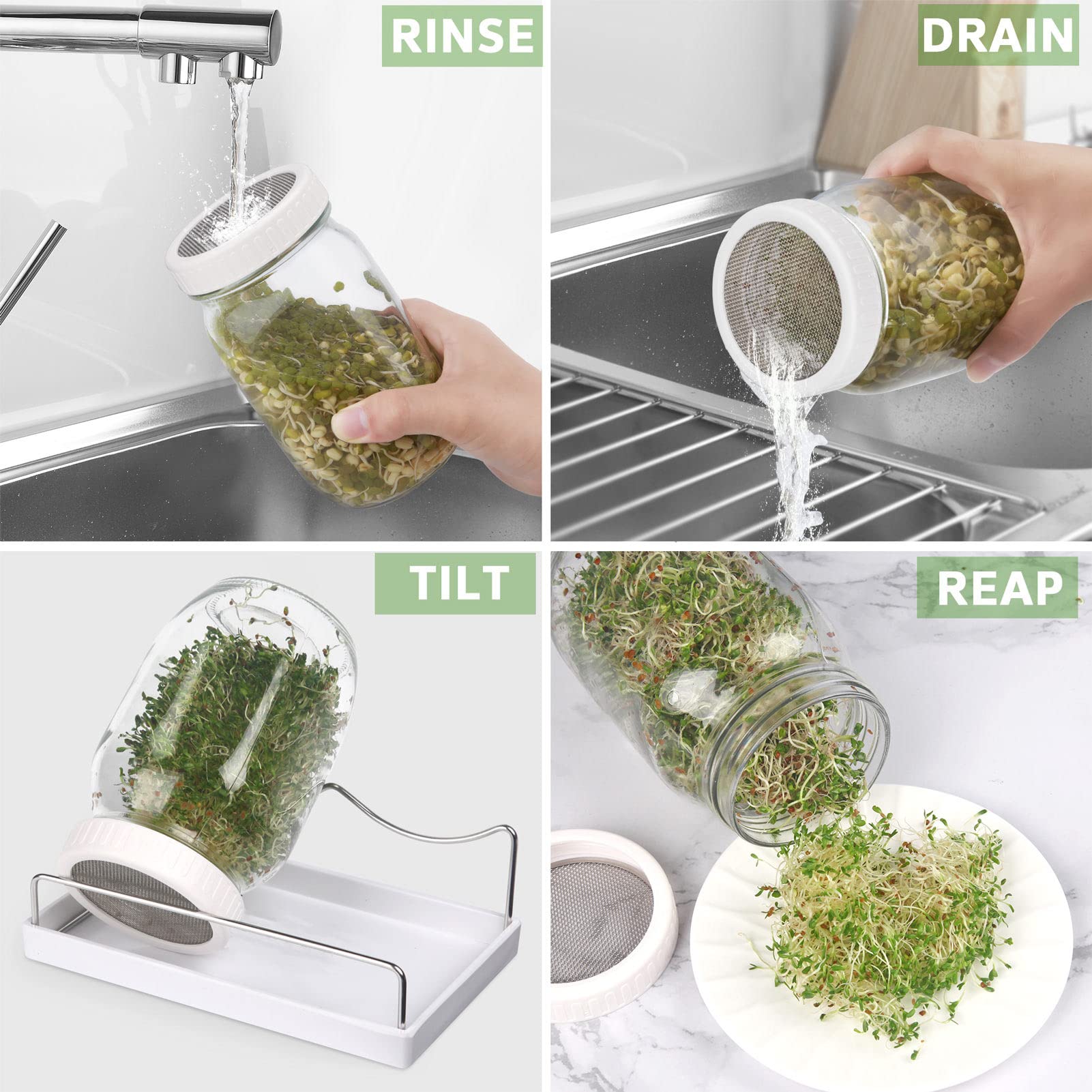 Malastar instructions for using the Complete Sprouting Jar Kit