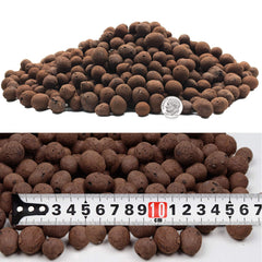 Malifea 10LBS clay pebbles in a decorative pot