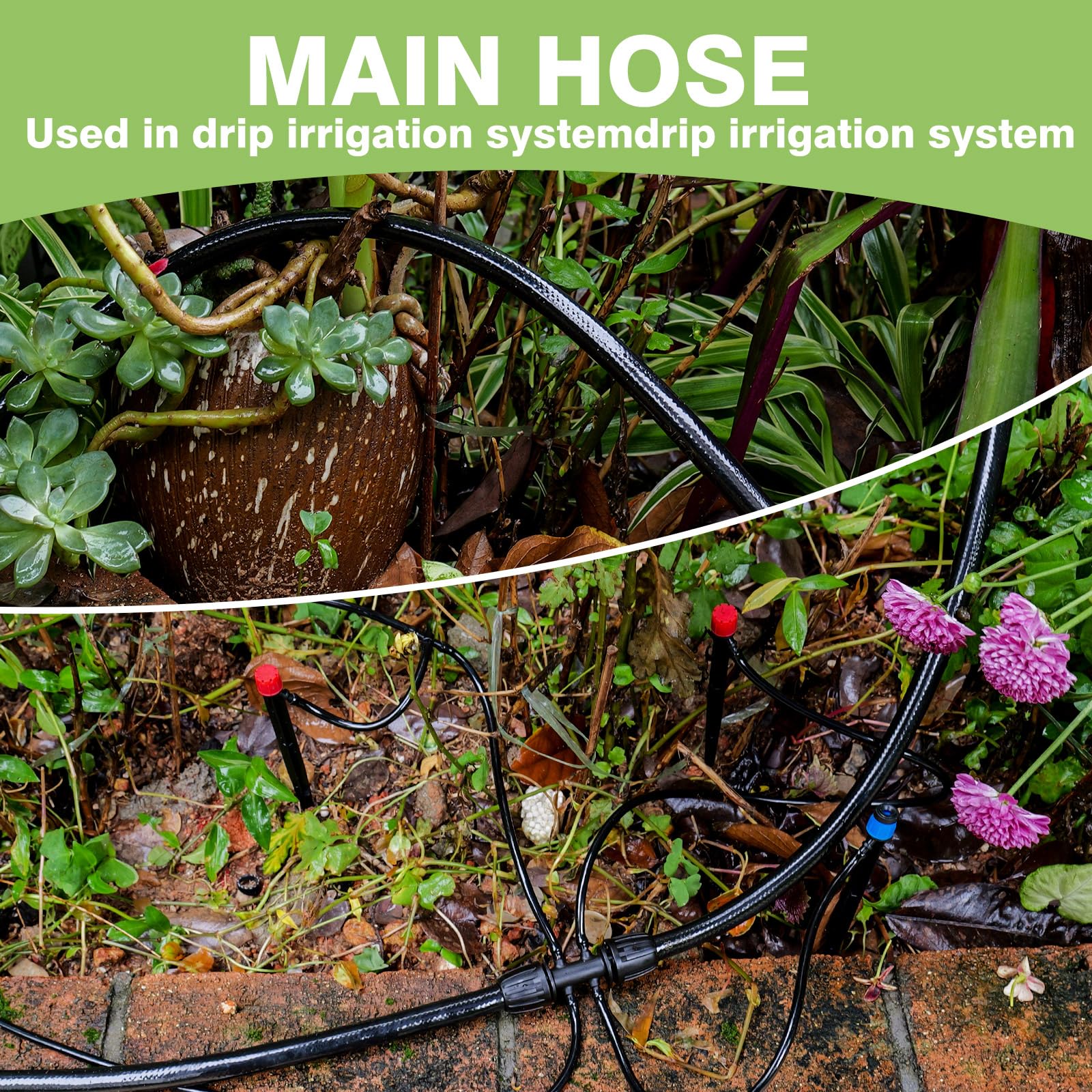 Maotong 40FT drip irrigation hose ready for installation