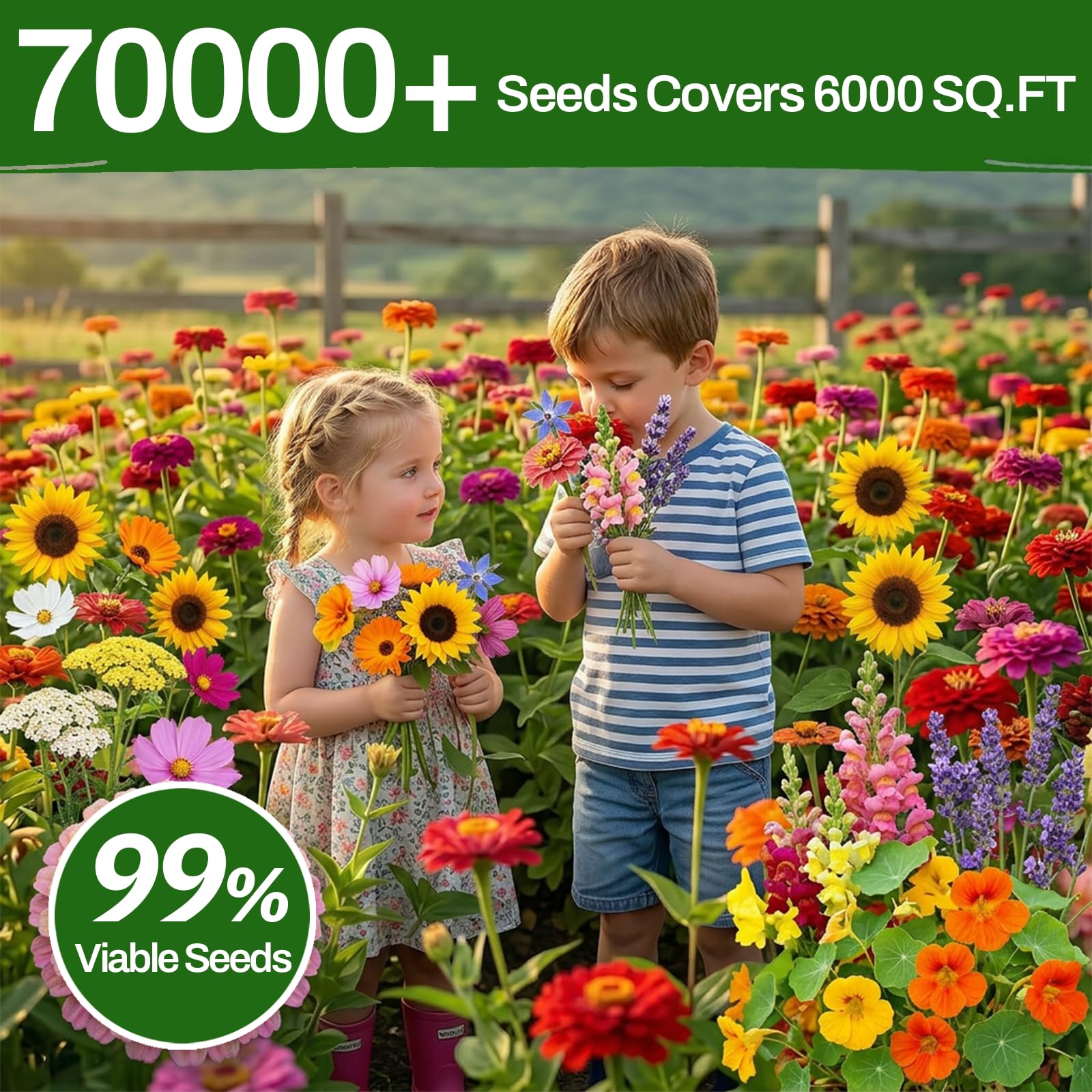 Marigold seeds from LUOJIBIE Flower Seeds Variety Pack