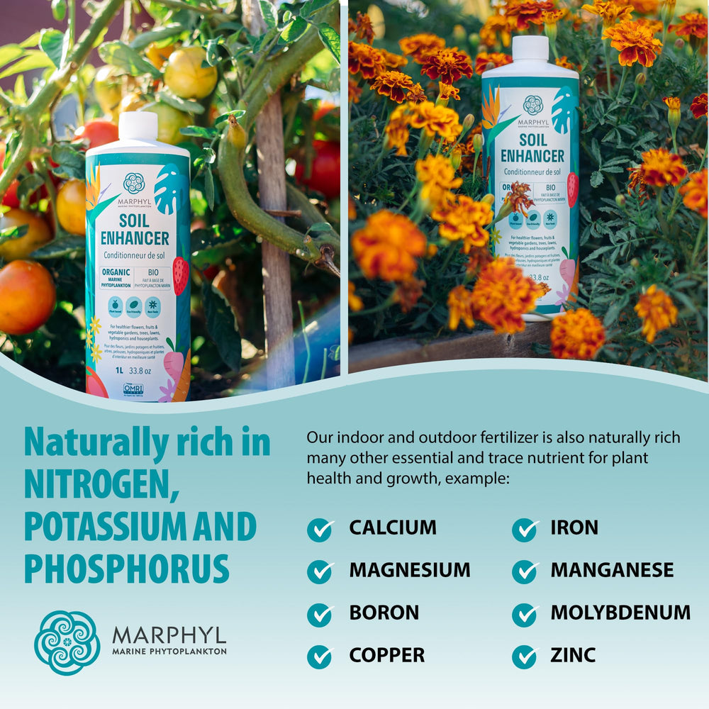 MARPHYL All-Purpose Plant Food being applied to plants
