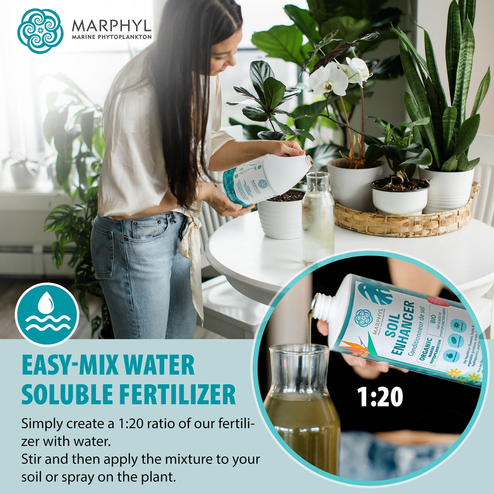 MARPHYL All-Purpose Plant Food bottle alongside blooming flowers