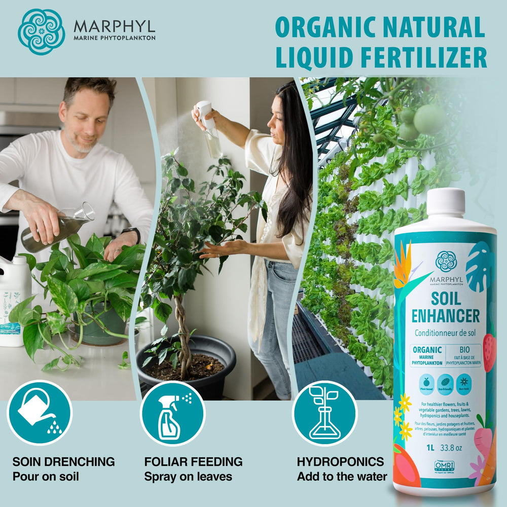 MARPHYL All-Purpose Plant Food displayed with plants