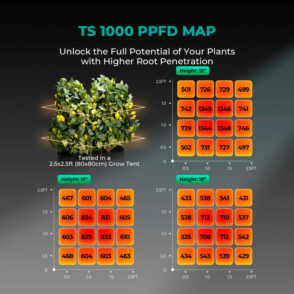 MARS HYDRO TS1000 LED Grow Light close-up of LED diodes