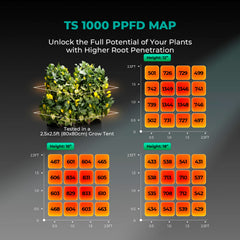 MARS HYDRO TS1000 LED Grow Light close-up of LED diodes