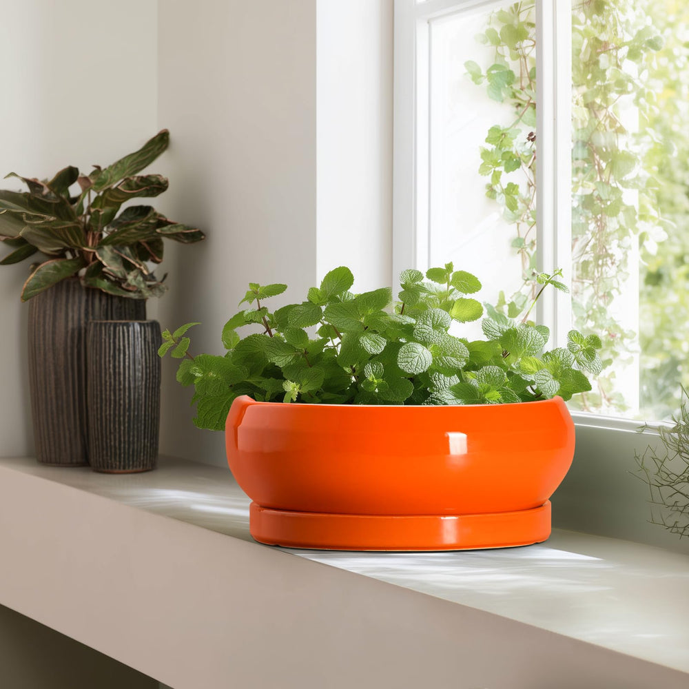 Matching ceramic saucer included with EPFamily planter