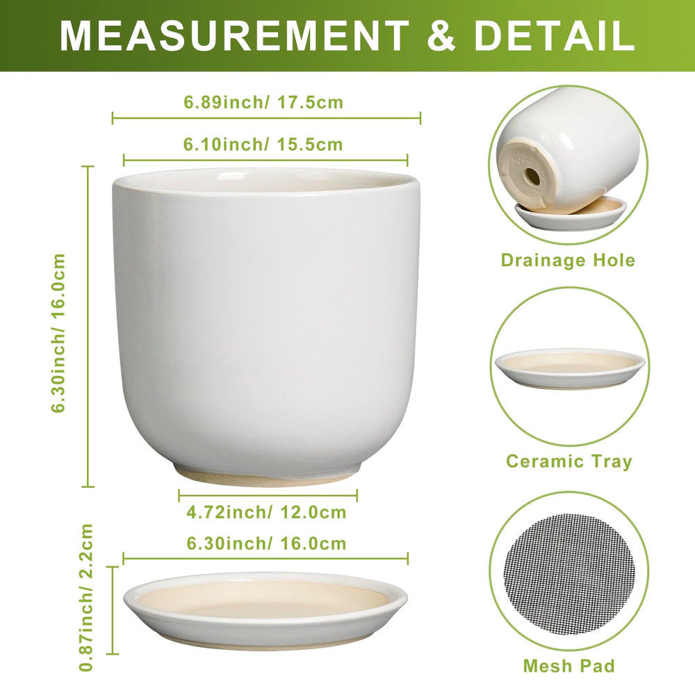 Matching saucer included with SUNPOTFOR 7 Inch Planter