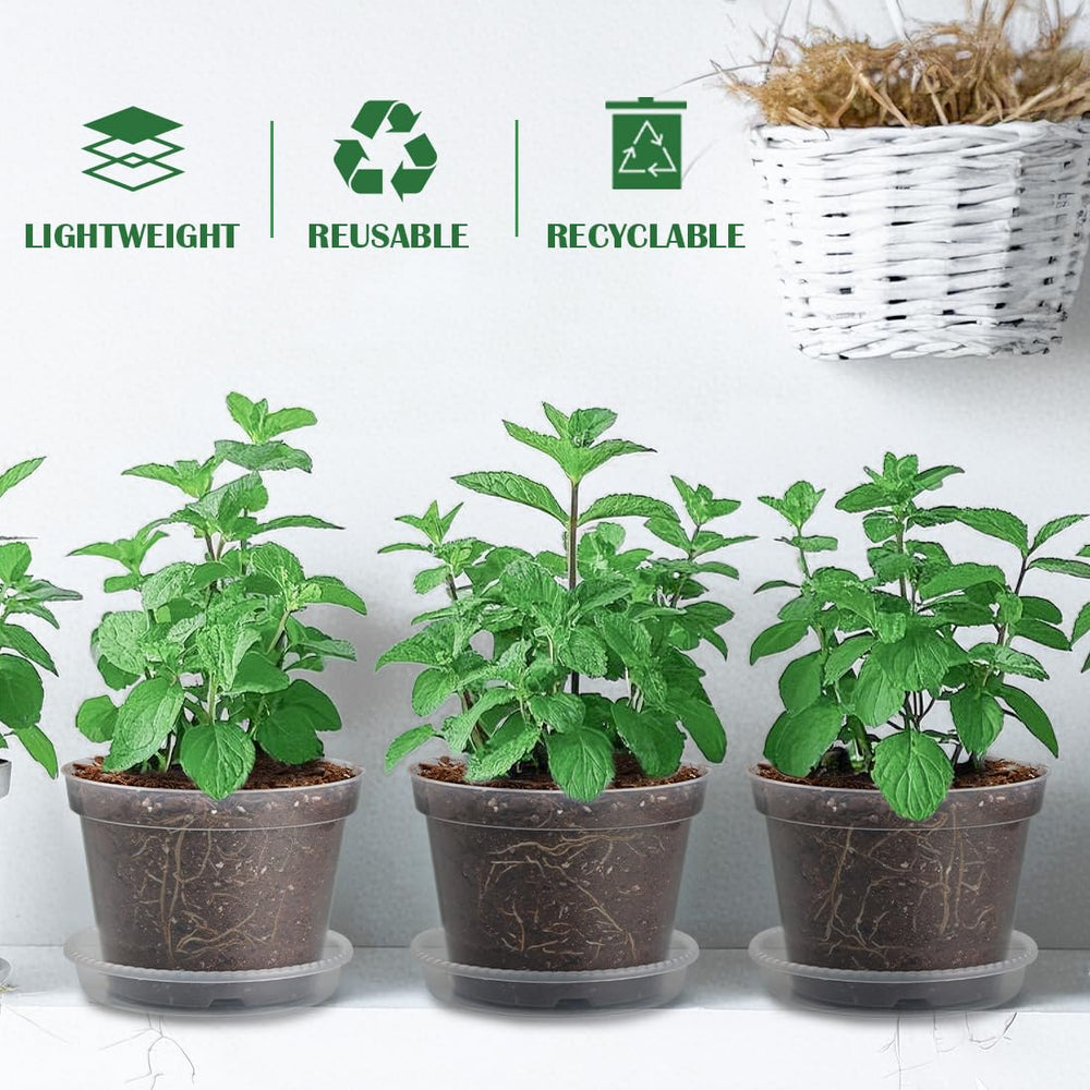 Matching saucer under BTPLASTIK nursery pot