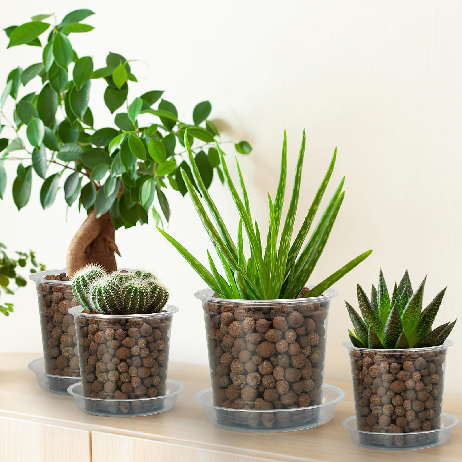 Matching saucers for FUIJOL nursery pots