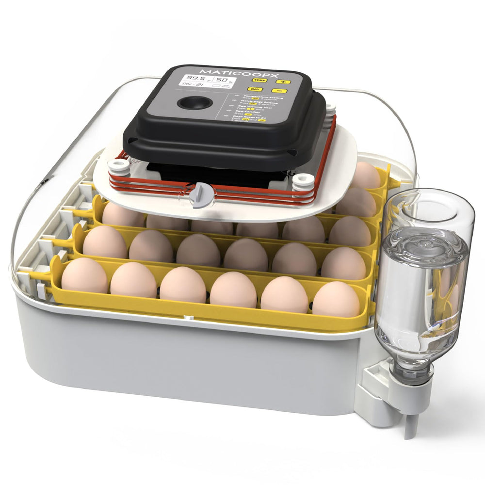 MATICOOPX 30 Egg Incubator front view with humidity display