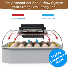 MATICOOPX 30 Egg Incubator showing built-in egg candler