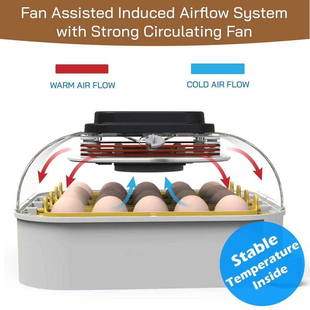 MATICOOPX egg incubator showing built-in egg candler feature