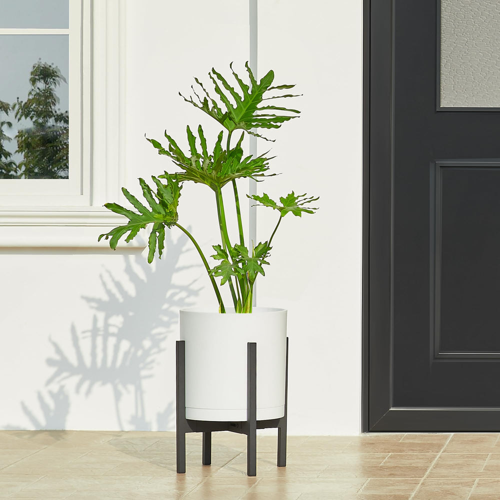 Matte white FaithLand planter with modern flat rim