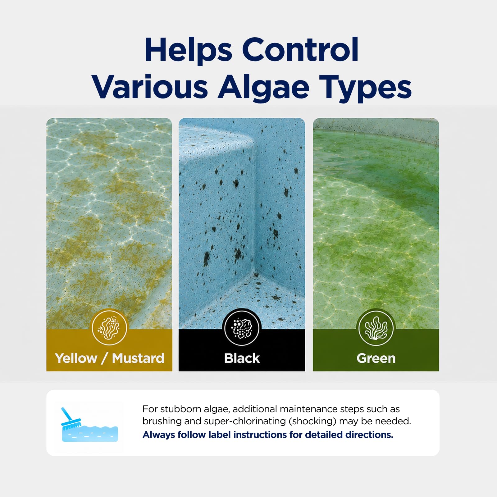 MAV AquaDoc Algae Smash 64 oz with pool background