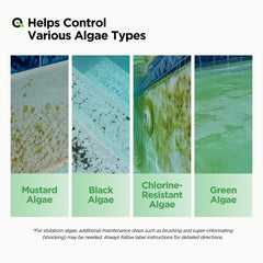 MAV AquaDoc Liquid Algaecide in pool setting