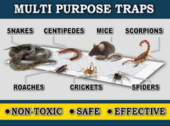 Maxguard Glue Trap Strips in use in a corner of the room