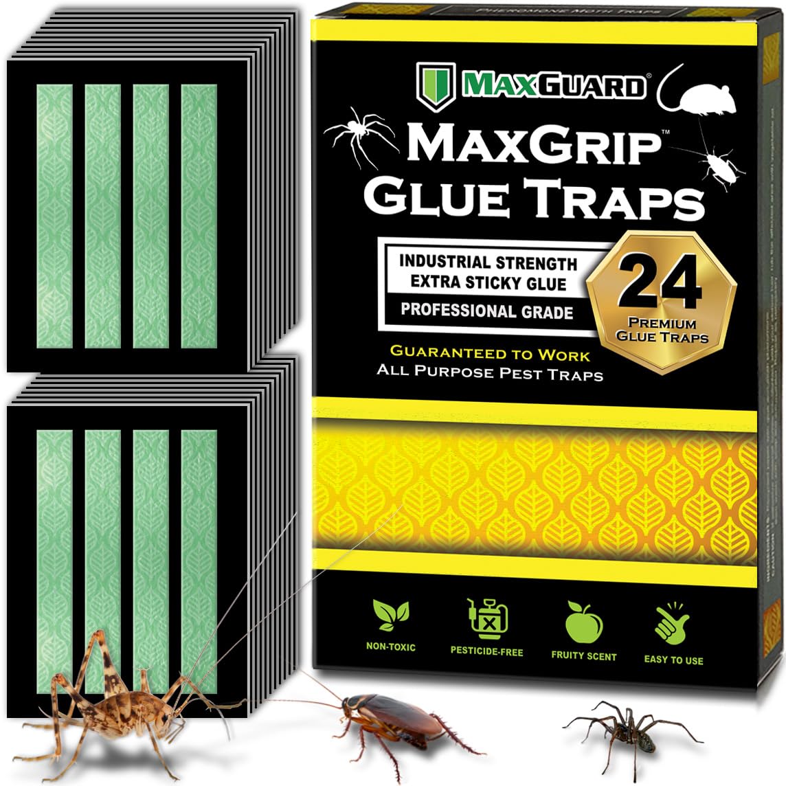 Maxguard MaxGrip Glue Trap front view with fruity scent attractant