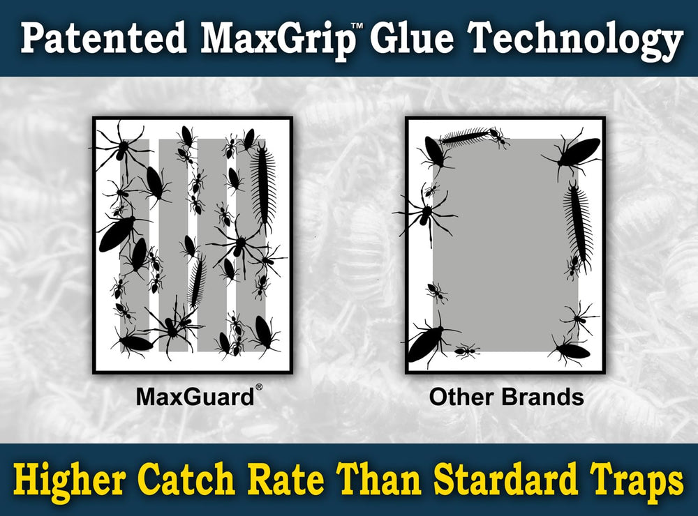 Maxguard MaxGrip Glue Trap set up in a corner for pest control