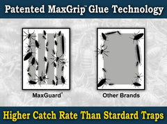 Maxguard MaxGrip Glue Trap set up in a corner for pest control