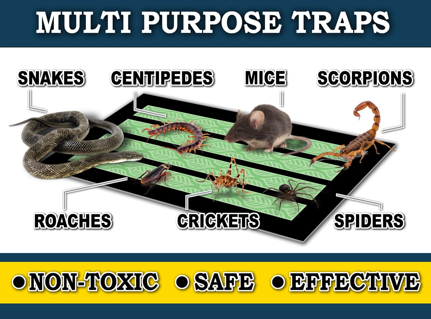 Maxguard MaxGrip Glue Trap used near baseboard for insects