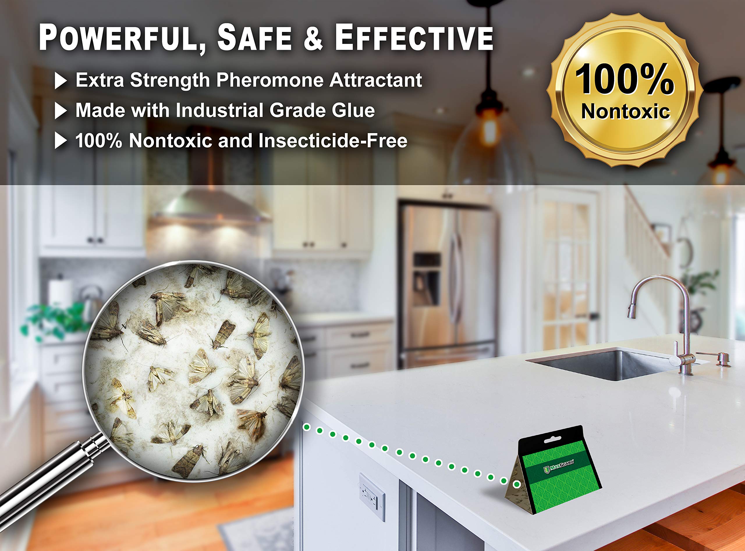 Maxguard Pantry Moth Traps placed in a kitchen pantry