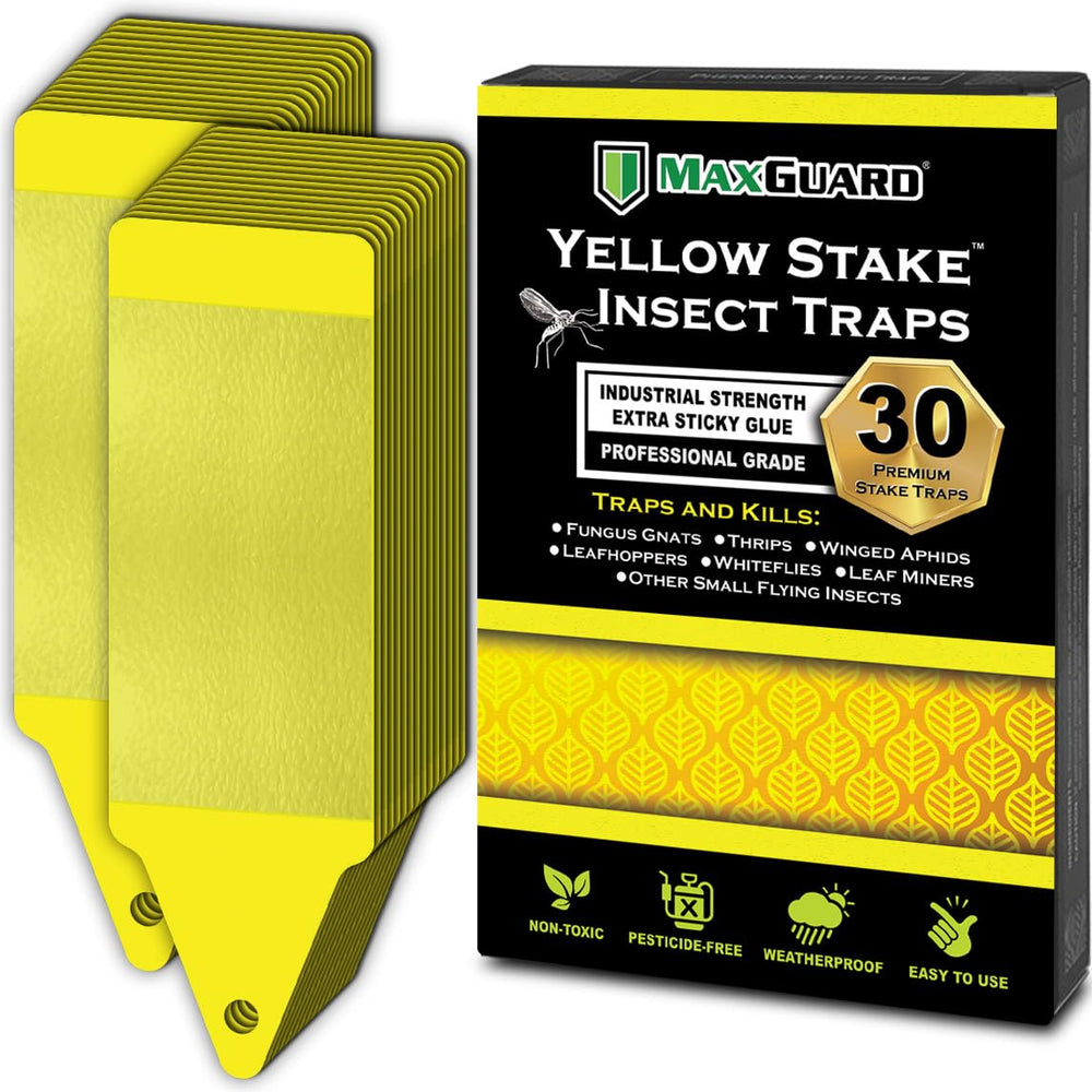 Maxguard Yellow Stake Sticky Insect Traps 30 Pack front view