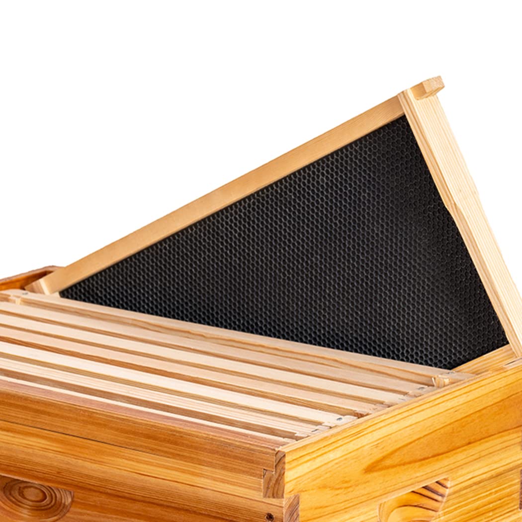MayBee beehive frame assembled with black foundation